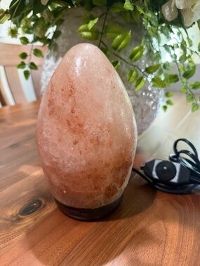 Egg-Shaped Himalayan Salt Lamp - Soft Pink Glow NWOT